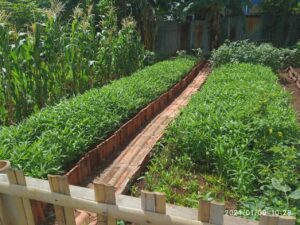 Pokja FKTS Gaga Bekerja Sama Dengan RW 02 Gaga