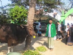 FKDMI Kabupaten Tangerang Terima Hewan Kurban Dari Kapolri