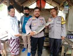 Kasat Polairud Polres Cirebon Kota Trengginas Datangi TKP Penemuan Seekor Buaya Dan Evakuasi