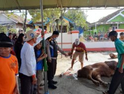 Bhabinkamtibmas Polsek Lelea Melaksanakan Pengamanan Penyembelihan Hewan Qurban