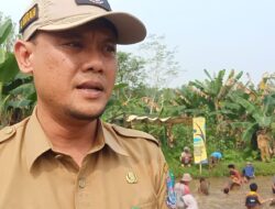 100 Kg Ikan dilepas di Empang, Puluhan Warga Ikut Meriahkan HUT Kelurahan Babakan