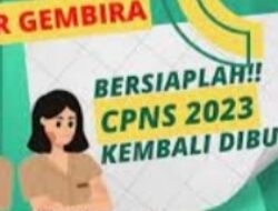 Segera Daftar, Bulan Juni 2023 Segera Dibuka CPNS dan PPPK