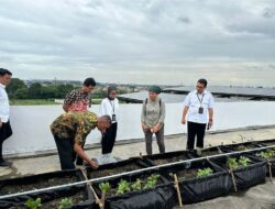 DKP Kota Tangerang Terus Meningkatkan Urban Farming di Kota Tangerang