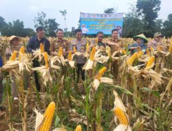 Kapolsek Cisauk Menghadiri Peresmian Klaster Benih Jagung di Desa Dangdang