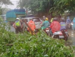 Unit Lalulintas Polsek Ciputat Timur Bantu Penanganan Pohon Tumbang dan Pengaturan Lalu Lintas di Jl. R. E. Martadinata