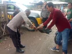 Polsek Bolo Grebek Arena Judi Sabung Ayam, Para Penyabung Lari Kocar-Kacir