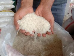Harga Beras Medium dan Premium Turun, Penjualan Belum Meningkat