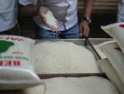 Harga Beras Mulai Turun Di Sejumlah Pasar Jakarta