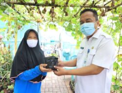 Gencarkan Gerakan Menanam, DKP Kota Tangerang Distribusikan Bibit Tanaman Gratis