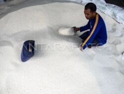 Di Jakarta, harga beras turun Rp 2 ribu per kilogram