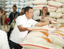 Bapanas Berlakukan Relaksasi Harga Beras Premiun 10-23 Maret 2024
