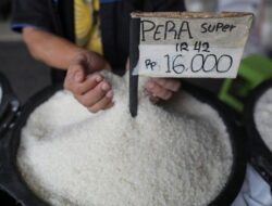 Heran KSP soal Harga Beras Mahal di Pedagang Saat Murah di Pasar Induk