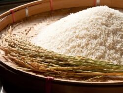 Update Harga Beras di Pasar Tradisional Jakarta per 19 Maret 2024, Beras Kualitas Bawah Turun Harga