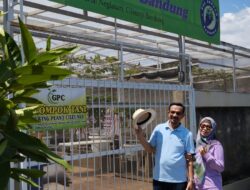 F3N Anggur Bandung Fasilitasi Giat Gerakan Grafting Massal Swasembada Anggur Indonesia