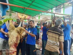 Panitia Masjid Al Muhajirin Kedaung Potong 7 Ekor Sapi Dan 20 Ekor Kambing Pada Idul Adha 1445 H