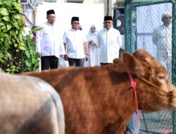 Sebagian dari Rezeki Kita Ada Hak Orang Lain yang Diwujudkan dengan Pembagian Daging Qurban