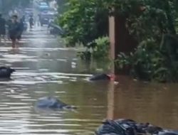 BPBD Tangsel Imbau Warga Sekitar Kali Angke dan Kali Pesanggrahan Tetap Waspada Banjir
