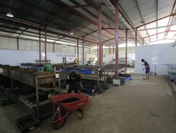DLH Kota Tangerang Berhasil Mengolah Sampah Organik Lewat Budi Daya Maggot Capai 15 Ton per Hari