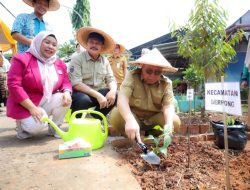 Pemkot Tangsel Tanam 2 Ribu Bibit Cabai dan Terong, Tersebar di 7 Kecamatan