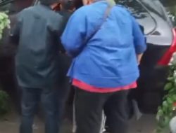 Cuaca Ekstrem Picu Dua Pohon Tumbang dalam Sehari di Tangsel