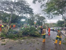 Awal Tahun 2026, Pohon Tumbang di Wilayah Rawa Mekar Jaya Akibat Hujan Deras 