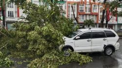 Minibus Tertimpa Pohon di Perumahan Sumarecon, Diduga Akibat Lemahnya Pengawasan