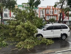 Minibus Tertimpa Pohon di Perumahan Sumarecon, Diduga Akibat Lemahnya Pengawasan