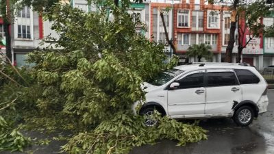 Minibus Tertimpa Pohon di Perumahan Sumarecon, Diduga Akibat Lemahnya Pengawasan