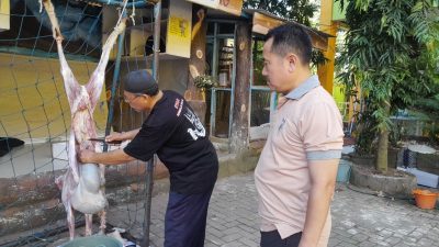 ‎SMPN 17 Kota Tangerang Rayakan Hari Raya Idul adha 1447 Hijriah, Tanamkan Nilai Keikhlasan dan Kepedulian Sosial