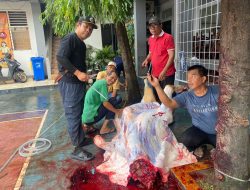 SMK PGRI 11 Ciledug Latih Jiwa Sosial dengan Berkurban, Sembelih 1 Ekor Sapi dan Dua Ekor Kambing
